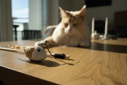 Katzenangel mit Maus