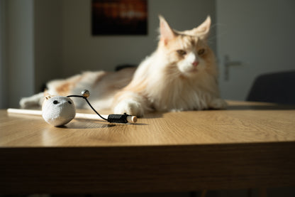 Katzenangel mit Maus