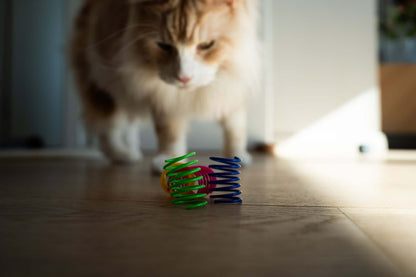 Die Schnurrbox – Spielspaß für Katzen mit Charakter