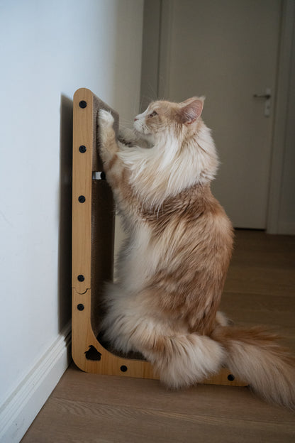 Kratz Kurve - L - Für elegante Krallenakrobatik